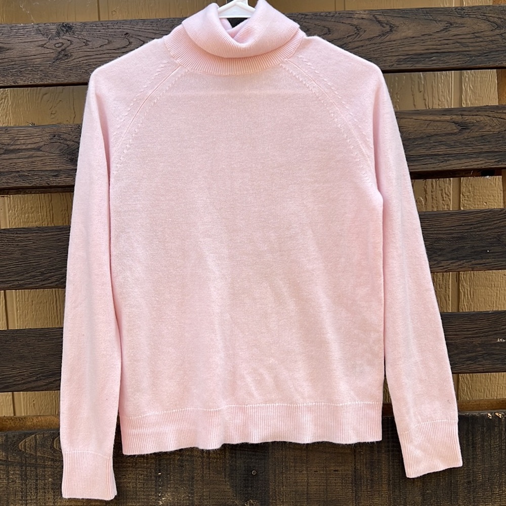 Karen scott turtle neck sweater